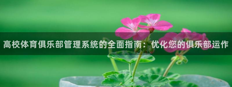 必一体育sport装