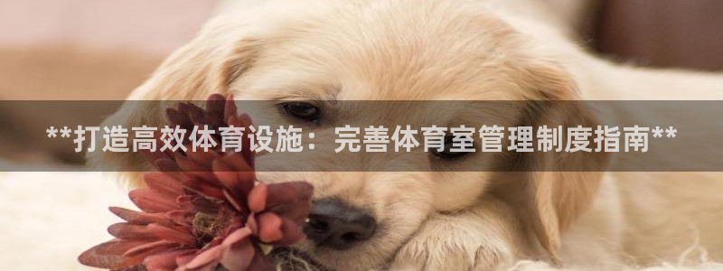 必一运动体育app：