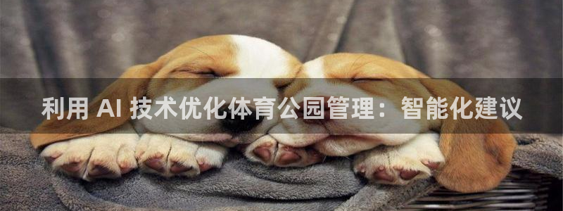 必一体育是哪里的台子