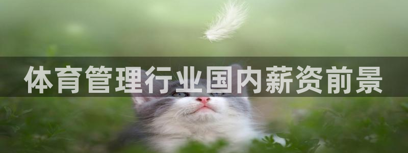 必一体育服下载最新版