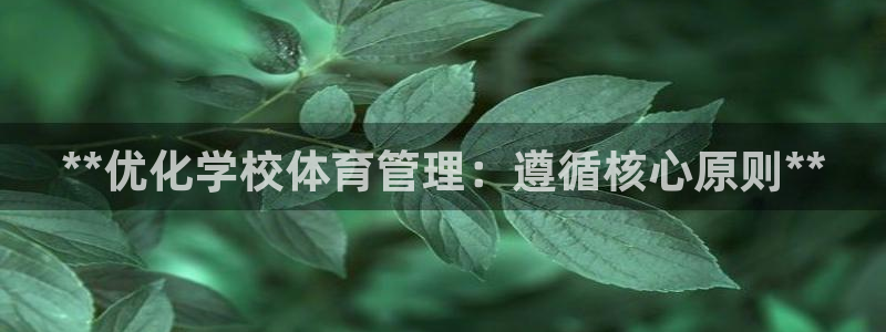 必一体育运动官网：*