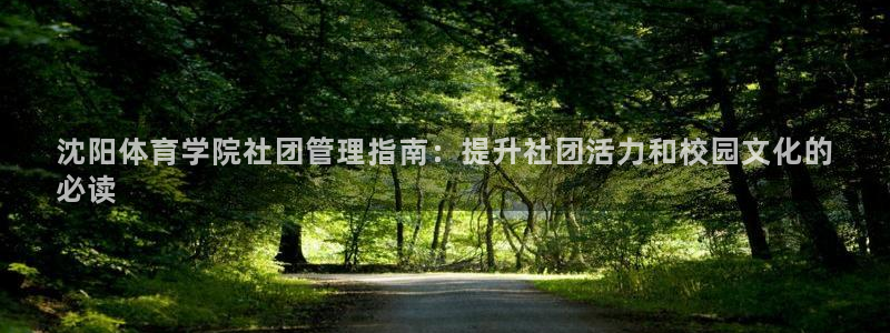 Bsport体育必一