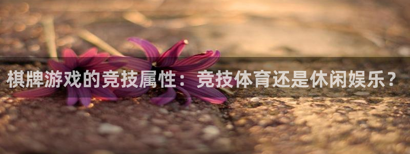 必一体育sport官