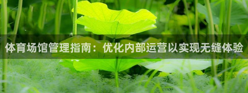 必一体育在线官网：体