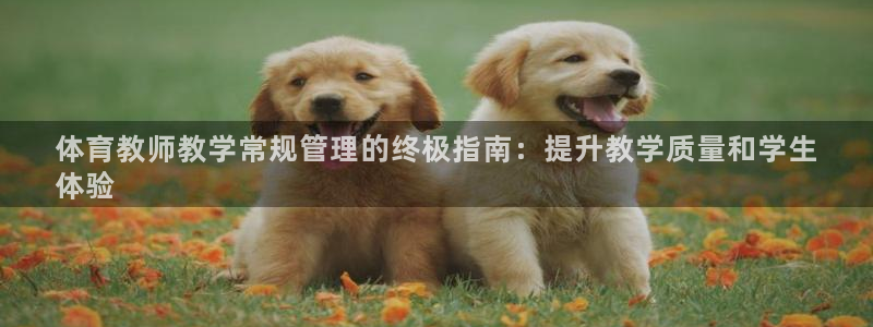 必一运动·(B-Sp
