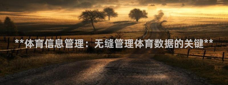 必一体育sport官