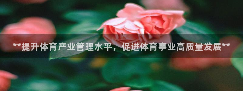 必一体育：**提升体