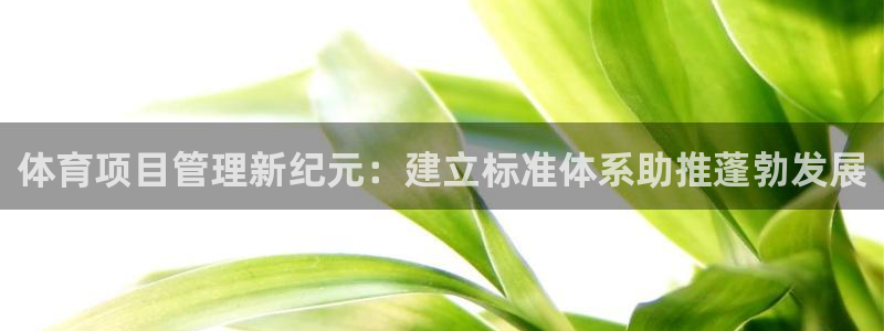 必一体育下载移动版：