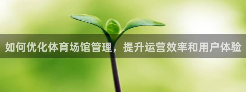 必一运动·(B-Sp