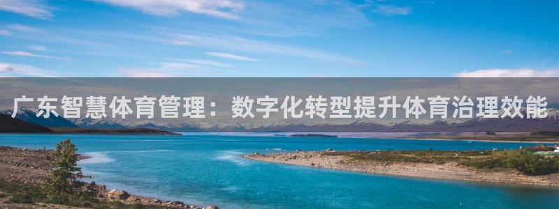 必一体育官方网站入口