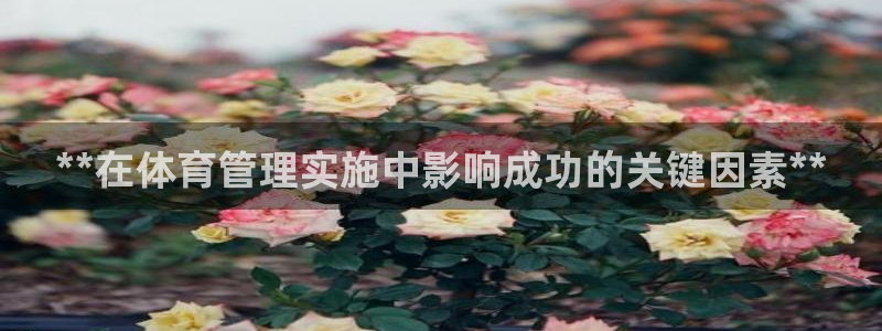 必一运动·(b-sp
