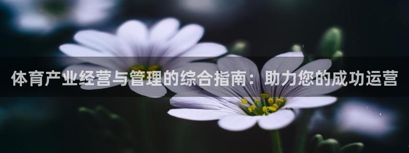 必一体育在哪下：体育