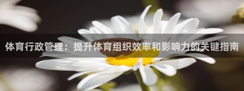 必一体育官网ios下