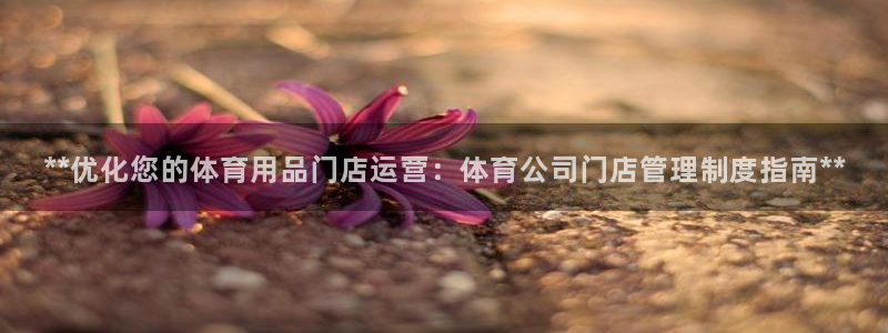 必一体育官方入口：*