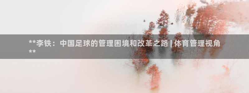 必一体育APP：**