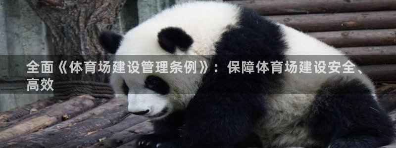 必一体育：全面《体育