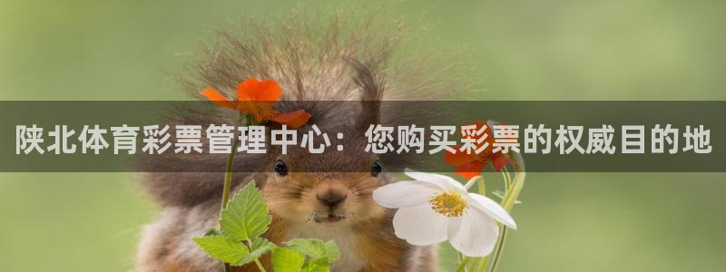 必一体育网站：陕北体
