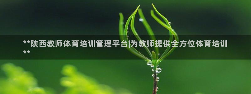 必一体育下载app：