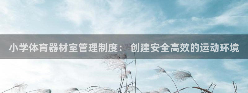 必一体育游戏特色：小