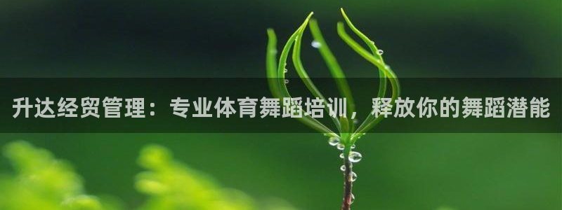 必一体育运动app下