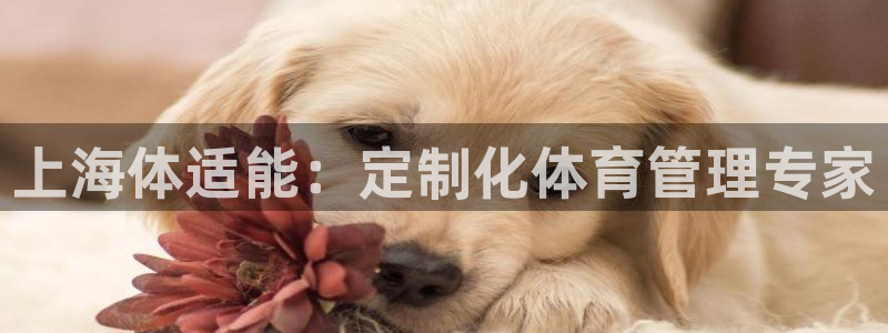 必一体育下载app下