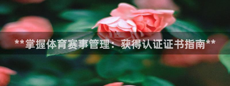 必一体育网页登陆：*