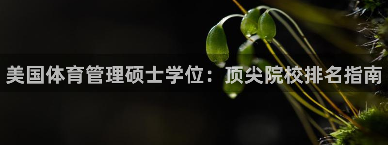 必一体育下载登入：美