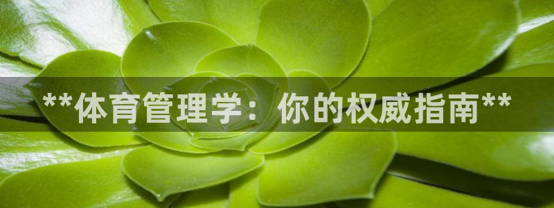 必一体育下载移动版：