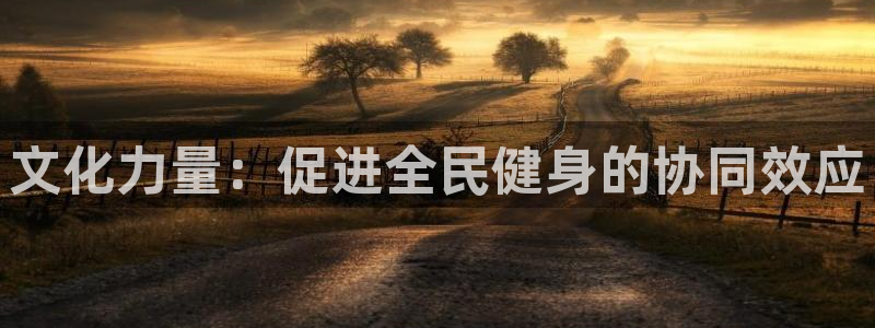 必一体育登入：文化力