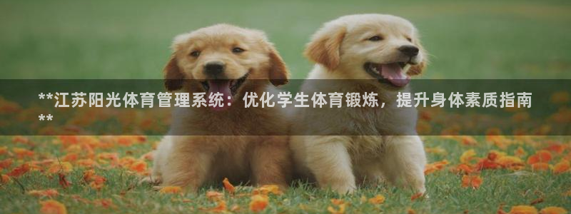 必一体育周公：**江