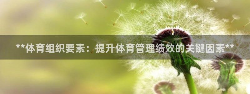 必一体育网页登陆：*