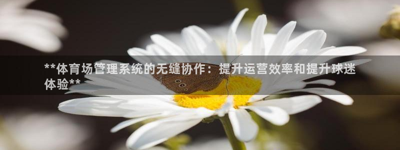 必一运动验证码：**