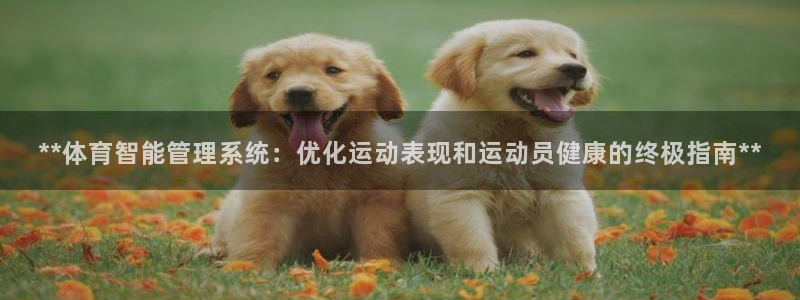必一体育运动官网：*
