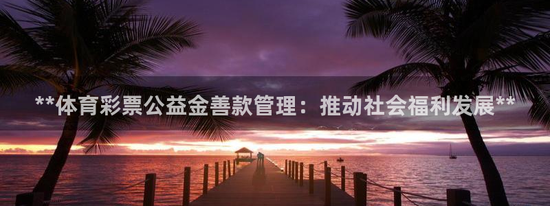 Bsport体育必一