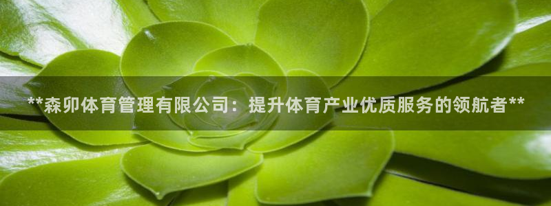 必一体育平台：**森