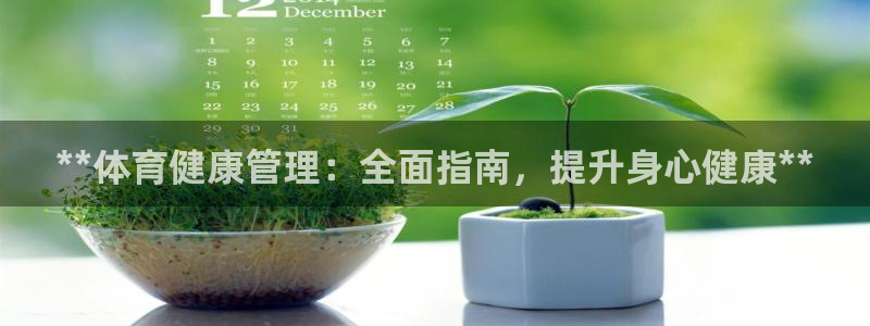 必一体育电子app：