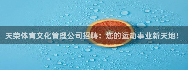 必一体育是啥：天荣体