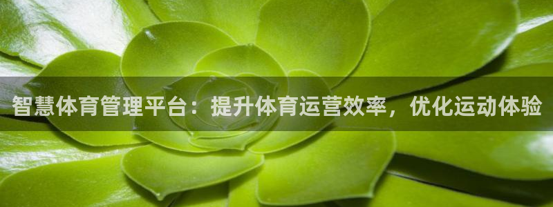 必一体育官方入口：智
