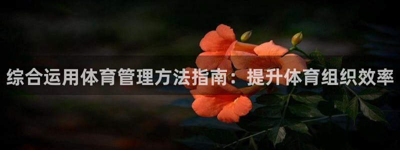氵必一一厂一：综合运