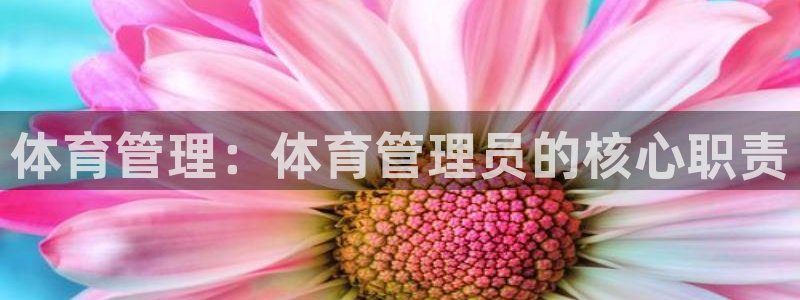 必一体育sportB
