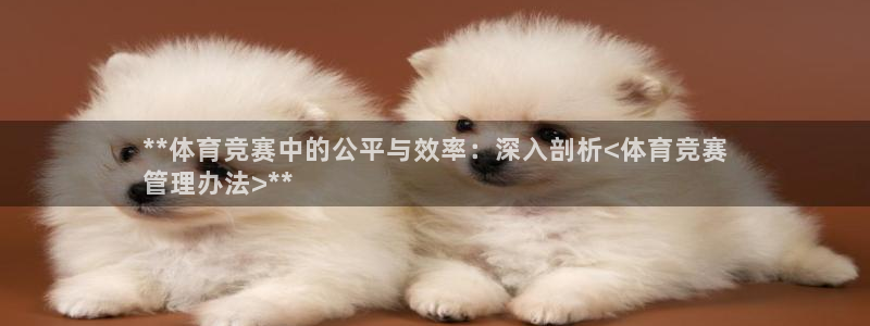 必一体育是啥：**体