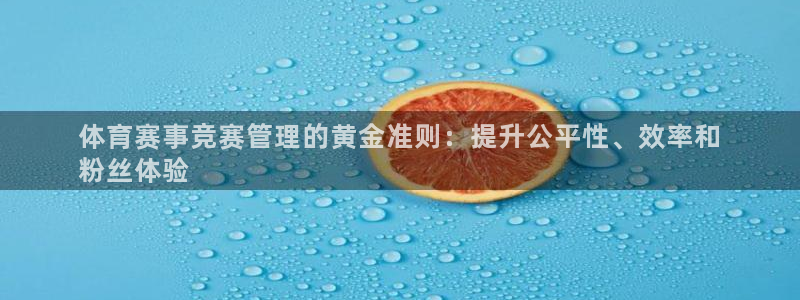 必一体育网站：体育赛