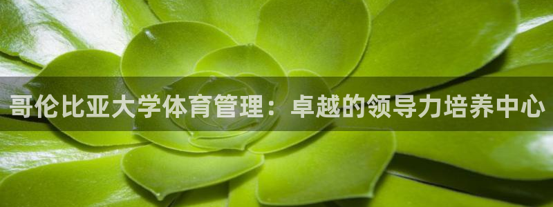 必一运动体育：哥伦比亚大学体育管理：卓越的领导力培养中心