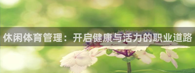 必一体育sport官网：休闲体育管理：开启健康与活力的职业道