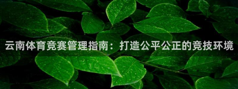 必一体育官网ios下