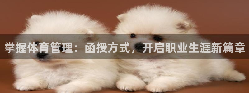必一运动官网：掌握体