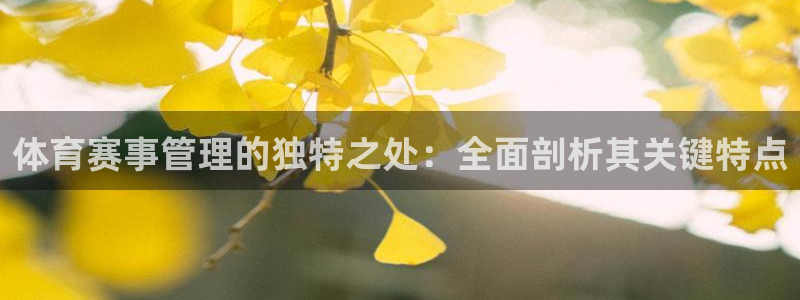 必一体育官方网站入口