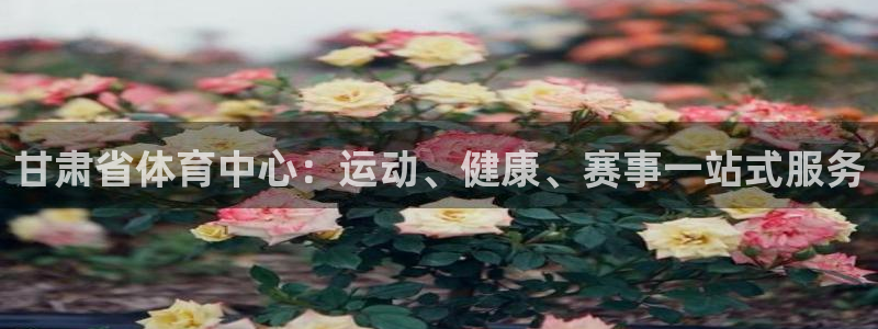 必一体育app官方：甘肃省体育中心：运动、健康、赛事一站式服