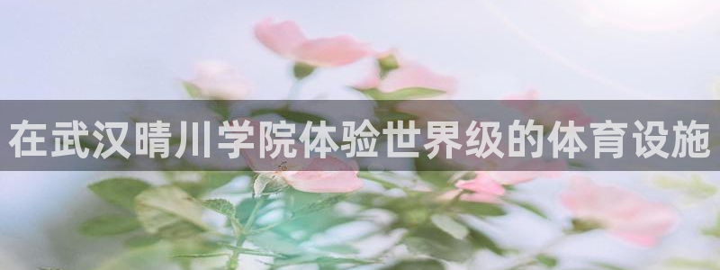 必一运动·体育：在武