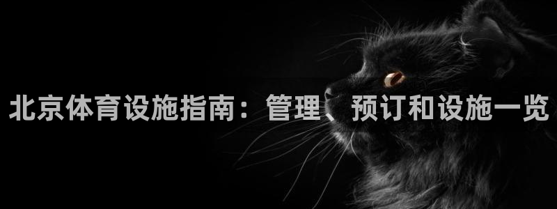 Bsport体育必一